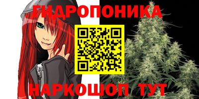PSILOCYBIN Новодвинск